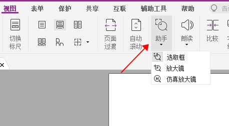 想要查看PDF文檔細節(jié)?這個放大鏡功能你肯定需要!