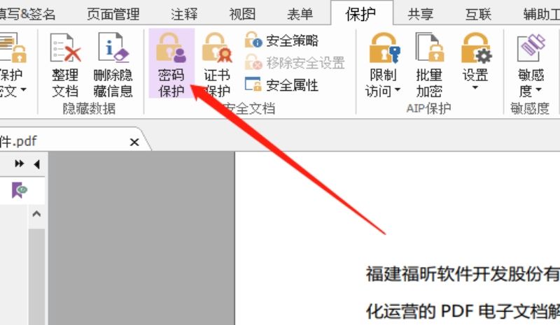 PDF密碼保護
