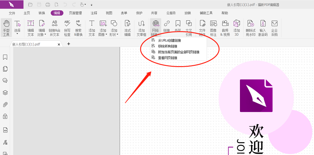 檢測(cè)PDF文檔里網(wǎng)絡(luò)鏈接并添加鏈接標(biāo)注怎么做?