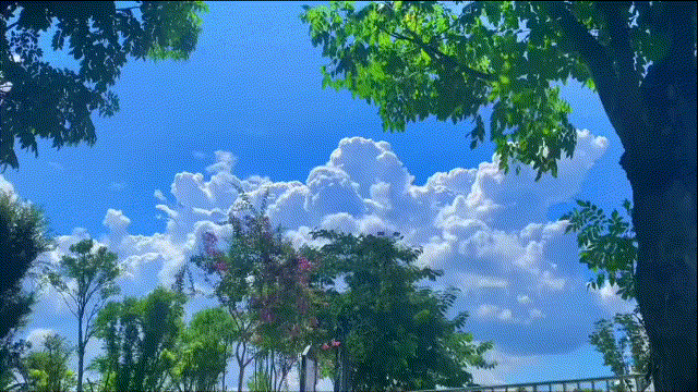 11.gif 曲線變速玩法詳細教程
